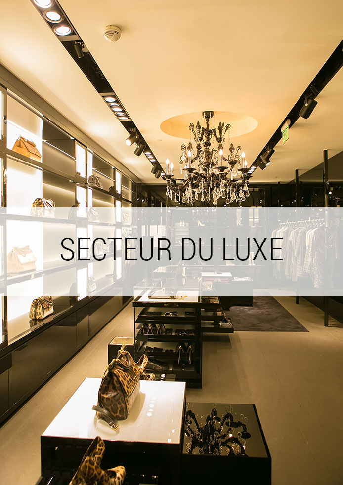 Secteur du luxe